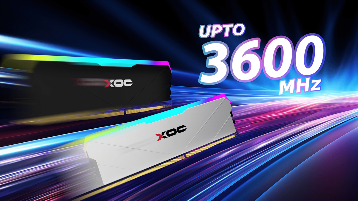 XOC Slayer DRR4 RGB